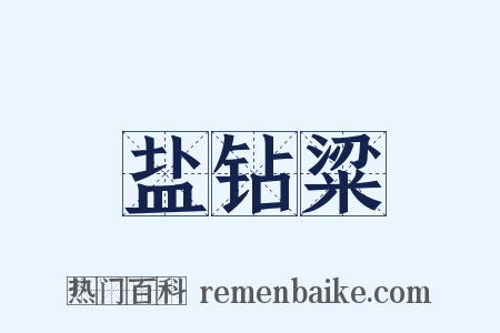 盐钻粱是什么意思的图片